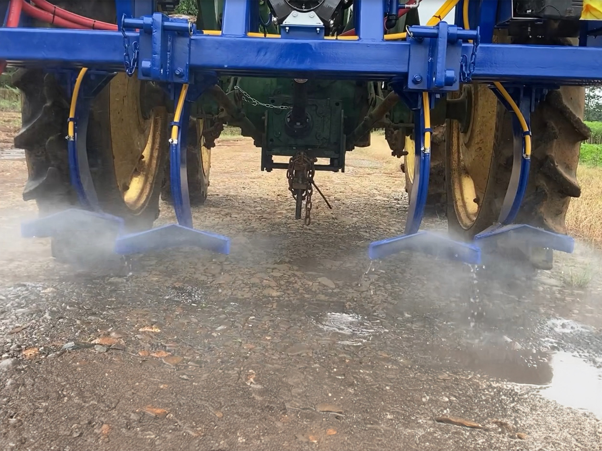 Goose feet spraying the soil