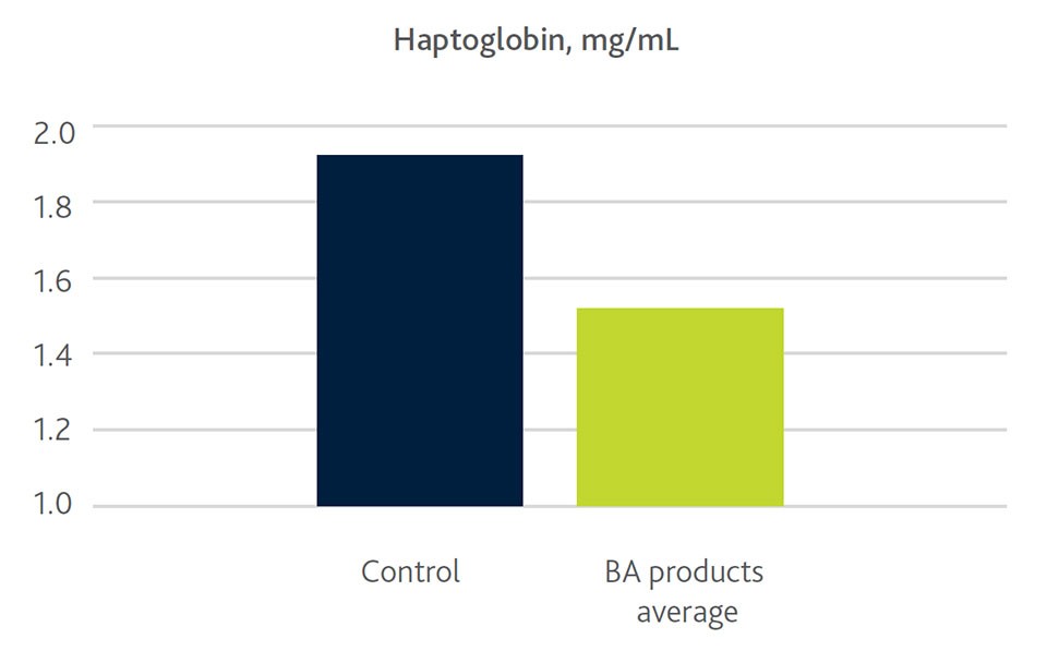 Weaning-stress-figure-3A Haptoglobin levels in swine bar graph