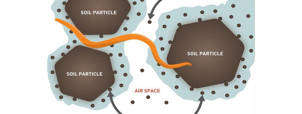 Graphic of 3 phases of the soil matrix: soil, air and water  