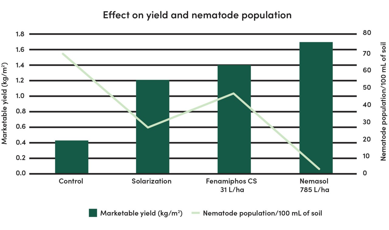 Graphic of effect on Nematode population and yield 