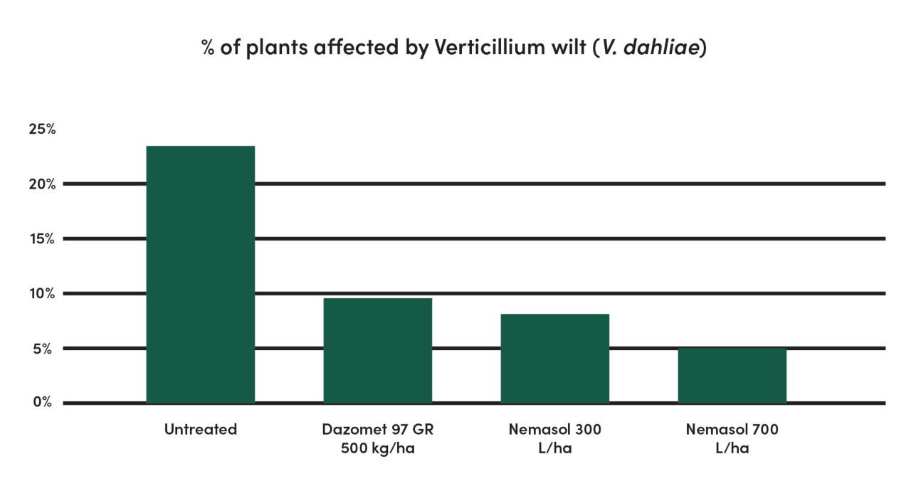 Graphic percentage of plants affected by Verticillium Wilt 