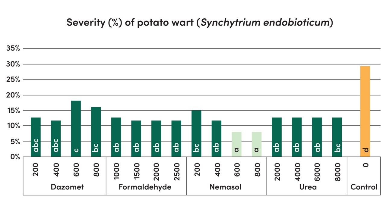 Graphic of severity of potato wart 