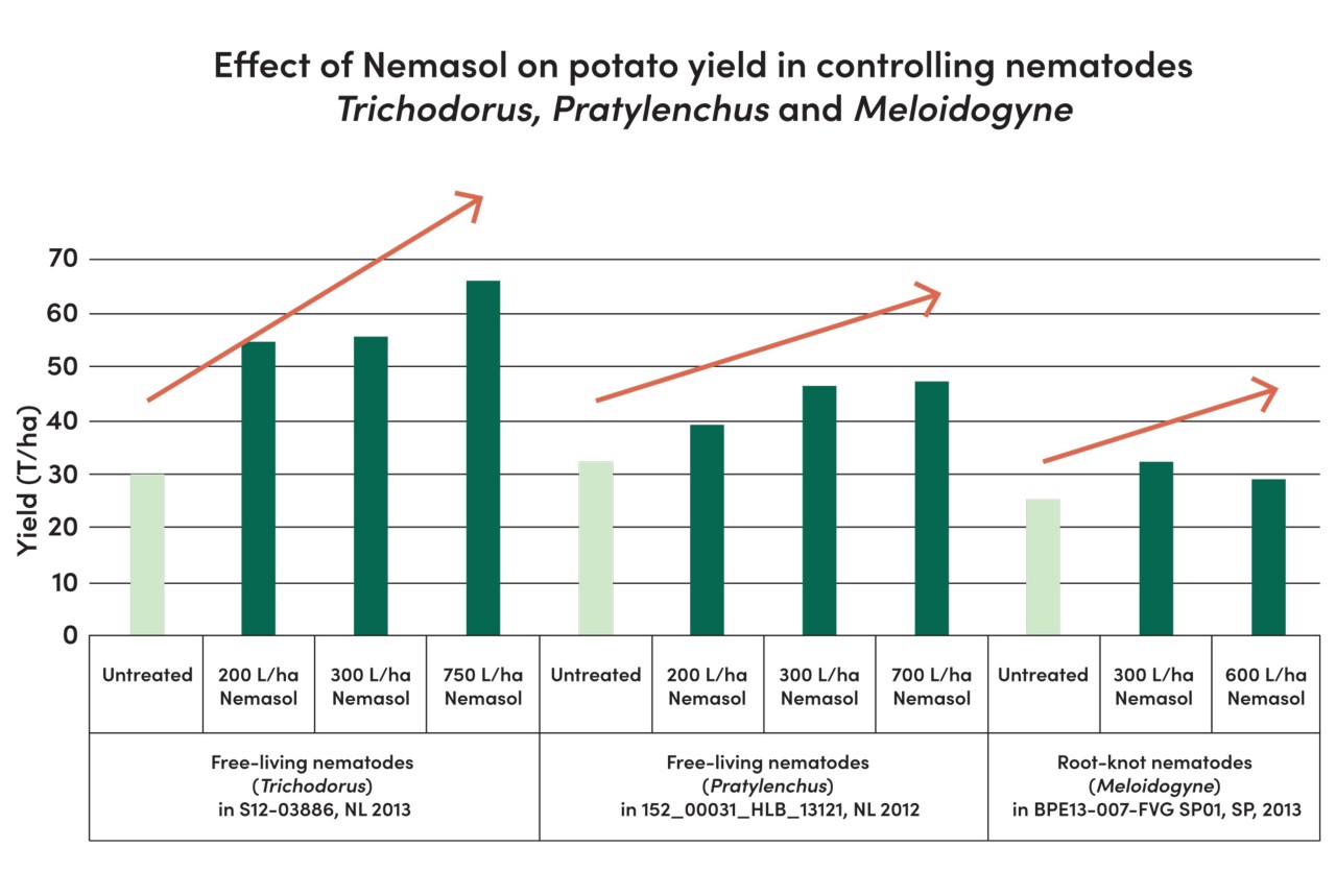 Graphic of effect of Nemasol on Potato yield in controlling nematodes Trichodorus, Pratylenchus and Meloidogyne  Graphic of effect of Nemasol on Potato yield in controlling nematodes Trichodorus, Pratylenchus and Meloidogyne