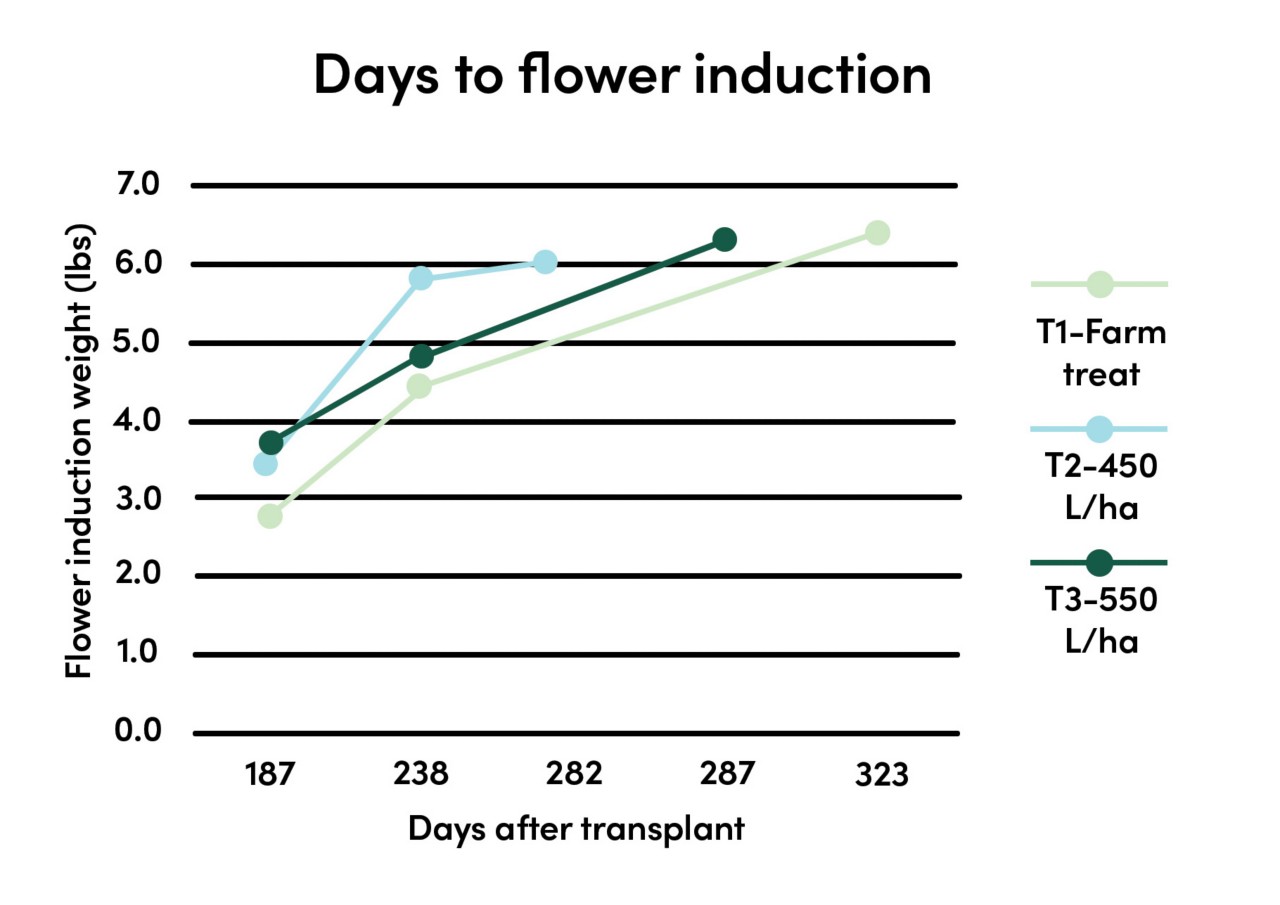 Graphic days to flower induction  Graphic days to flower induction