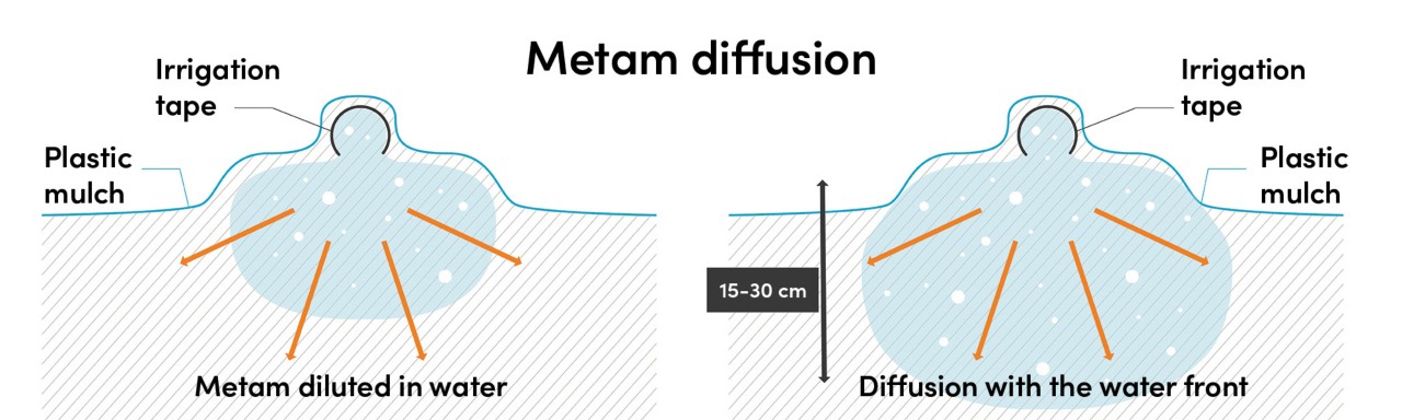 Metam diffusion diagram 